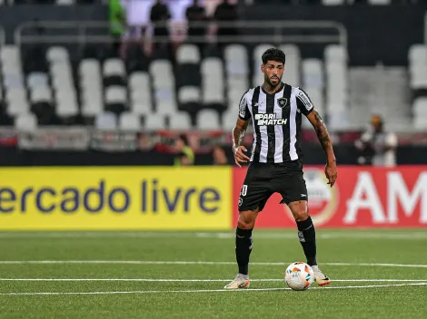 Barboza deveria ser expulso em Botafogo x Palmeiras segundo torcida 