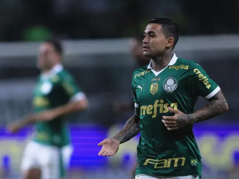 Dudu terá mais minutos no Alviverde com Abel