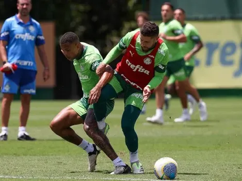 PVC revela que Santos deseja contratar Zé Rafael