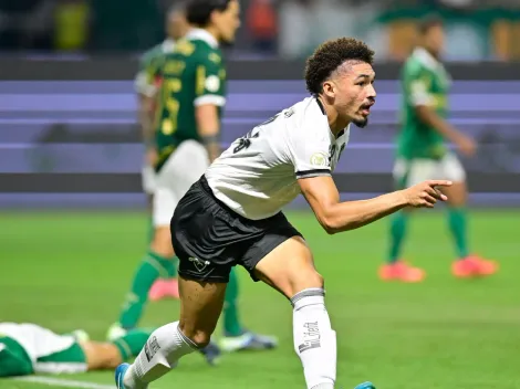 Palpite Palmeiras x Botafogo - Brasileirão - 30/03/2025