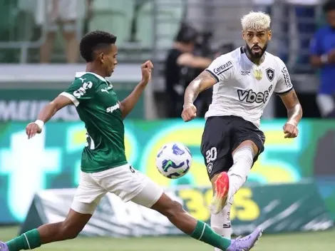 Botafogo não perde para o Palmeiras há mais de 1 ano