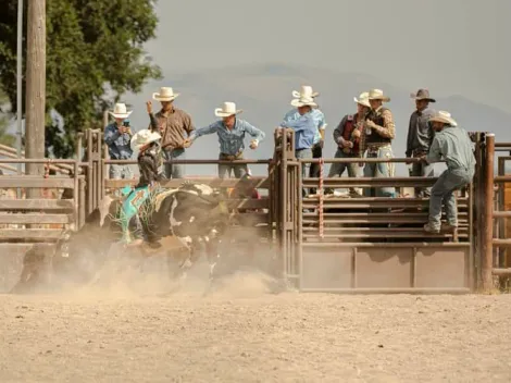 Como apostar em vaquejada? Melhore sites e dicas para iniciantes