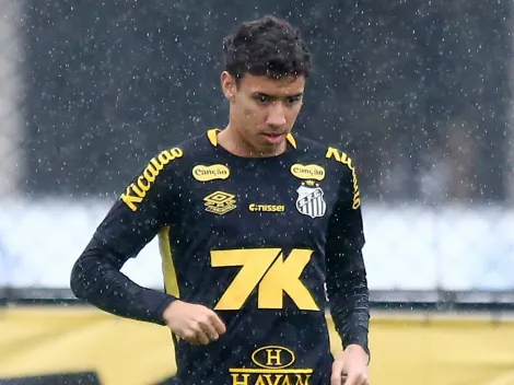 Vojvoda explica porque precisou barrar Bontempo