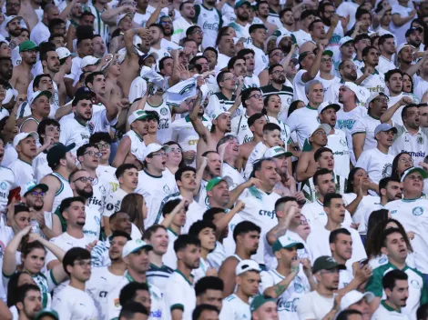 Torcedor do Palmeiras morre em acidente às vésperes da final