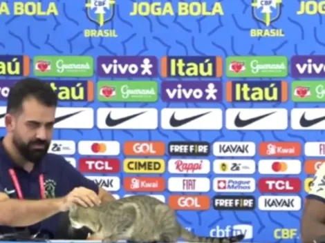 Las represalias de Brasil por tirar a un gato en la conferencia