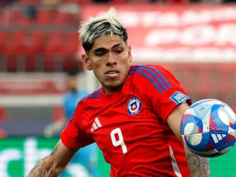 "Esta conducta debiese ser sancionada": Piden penas del infierno para Palacios