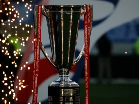 "El torneo es tan chanta que cualquier equipo sin tanto mérito sale campeón"