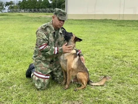 Niños rescatados en el Guaviare dibujaron a Wilson, el perrito que sigue perdido en la selva