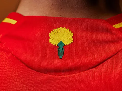 ¿Qué significa el clavel que usará España en el partido contra la Selección Colombia?