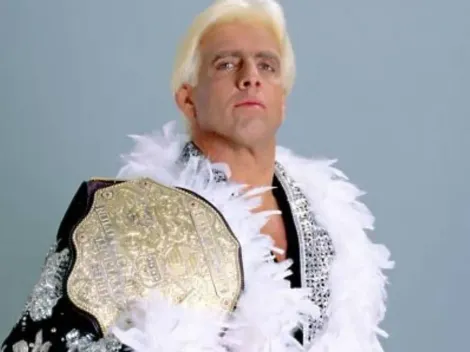 How many wrestling titles did Ric Flair win?