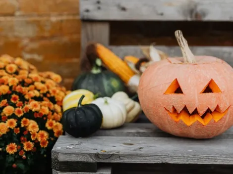 Where does Halloween come from and why do people celebrate it?