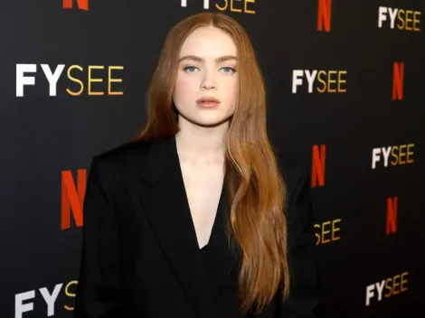 Stranger Things actress Sadie Sink's profile: Age, zodiac sign, family and net worth