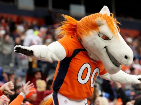 NFL 2022: How much do team mascots make?