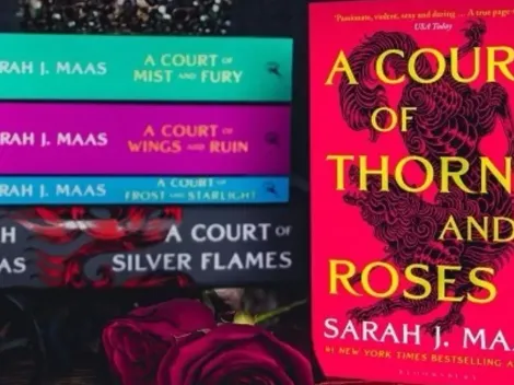 Which A-list celebrity could appear in the 'A Court of Thorns and Roses' series? Rumors explained