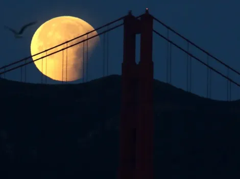 Lunar Eclipse in Scorpio: What is the spiritual meaning? [May 2023]