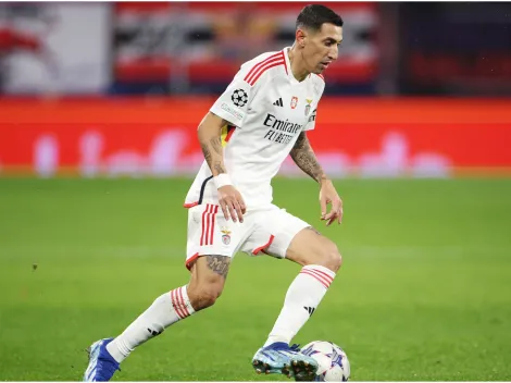 Benfica vs Portimonense: How to Watch Live, TV Channels and Streaming Options in Your Country on February 25, 2024