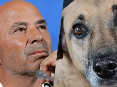 Cada vez peor: ahora Sampaoli va a buscar jugadores a las veterinarias