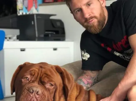 Es un león: Messi mostró en Instagram lo gigante que está su perro Hulk