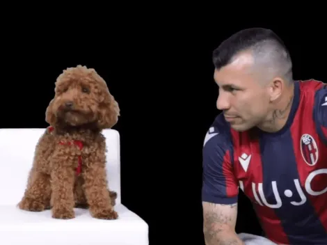 Acariciando a un caniche: así presentaron a Medel en su nuevo equipo