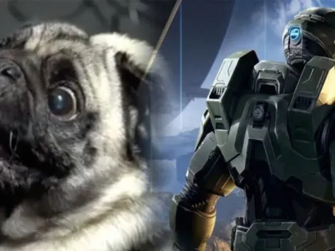 ¡No podemos más! En HALO Infinite contrataron un perro para hacer los efectos de sonido alienígena