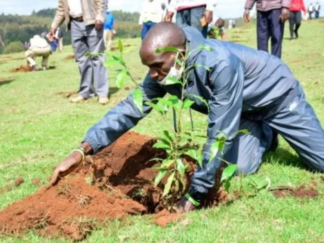 Kipchoge adoptó 50 hectáreas de bosque