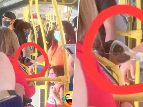 Solo se ve en Colombia: perrito viral en TransMilenio con ingenioso "tapabocas"