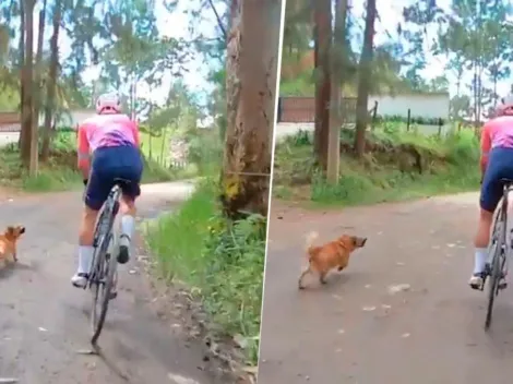 Video: el susto que se llevó Rigo Urán en su cicla por un perrito en la vía