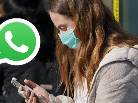 ¿Cómo crear tus propios stickers personalizados en WhatsApp?