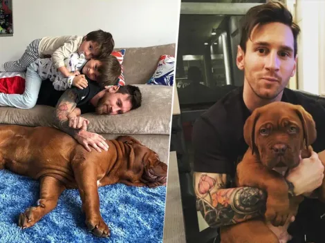 ¿Qué pasó con Hulk, el perro de Lionel Messi que sigue en Barcelona?