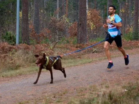 Correr con tu perro tiene nombre y competencia: Mushing