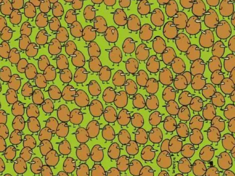 Desafío viral extremo: descubre los kiwis que se encuentran ocultos en la imagen