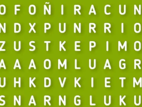 SOLO EL 3% PUDO: encuentra la palabra CARIÑO en 40 segundos
