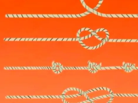 ¿Qué cuerda te parece más larga? Descubre tu nivel de inteligencia