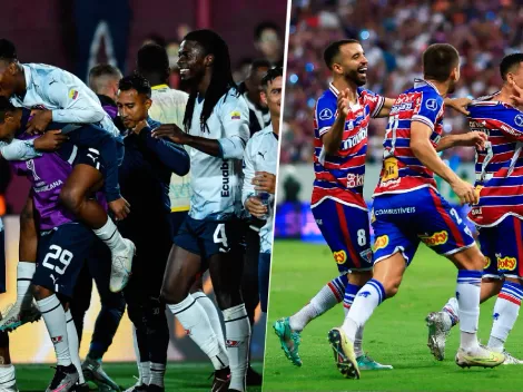 ¿Acertará? Un gato predice qué equipo ganará la Copa Sudamericana (VIDEO)