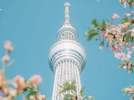 ¡Japón desde las alturas! Así de alta es la torre Tokyo Skytree