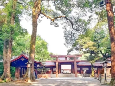 Conoce el verdadero Japón: Parque Yoyogi, un oasis verde en Tokio