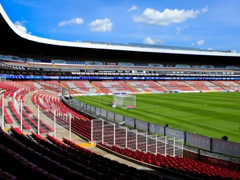 ¡Histórico! Querétaro permitirá que las mascotas asistan al estadio