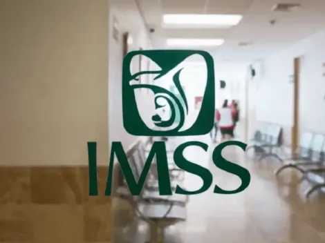 ¿Cómo consultar las semanas cotizadas en el IMSS?