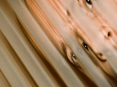 ¿Cuáles son los signos más psicópatas del zodiaco?