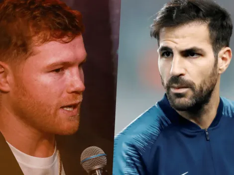 Cesc Fábregas tundió a Canelo Álvarez por sus dichos sobre Messi