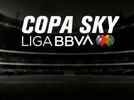 ¿Qué televisoras transmitirán la Copa Sky?