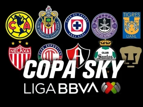 ¿Desde cuándo se juega la Copa SKY?