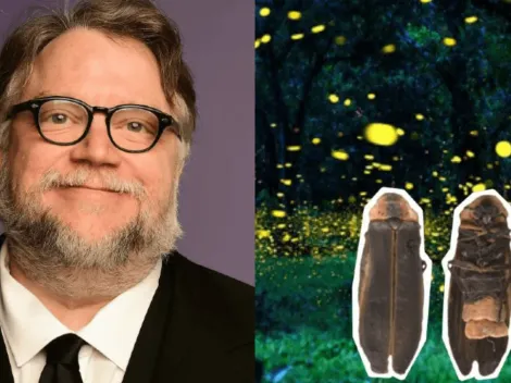 Guillermo del Toro y la nueva especie de luciérnaga que llevará su nombre