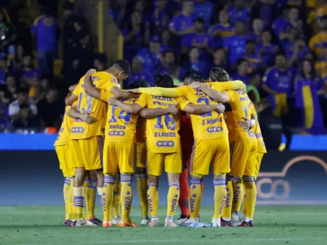 Sufre Tigres: desde Europa planean llevarse a una joya Felina