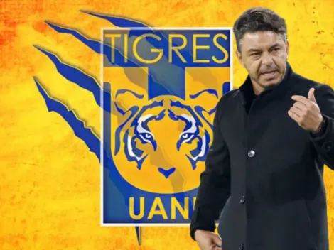 ¿Marcelo Gallardo dirigirá a Tigres?