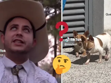 ¡Qué agusticidad!: ¿Qué significa la nueva tendencia viral de TikTok?