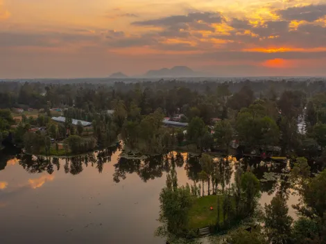 ¿Por que Google le brinda homenaje al Lago de Xochimilco HOY, 20 de mayo?
