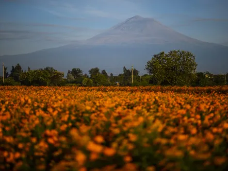 ¿Qué significa amarillo fase 3?: La alerta por el volcán Popocatépetl