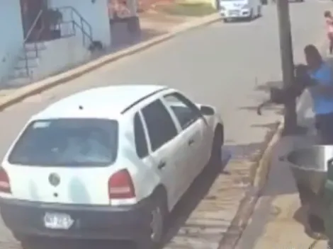 VIDEO: El testimonio de la familia del PERRO que fue aventado al cazo de aceite