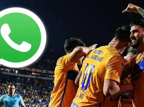 Únete a nuestro canal de WhatsApp exclusivo de Tigres UANL